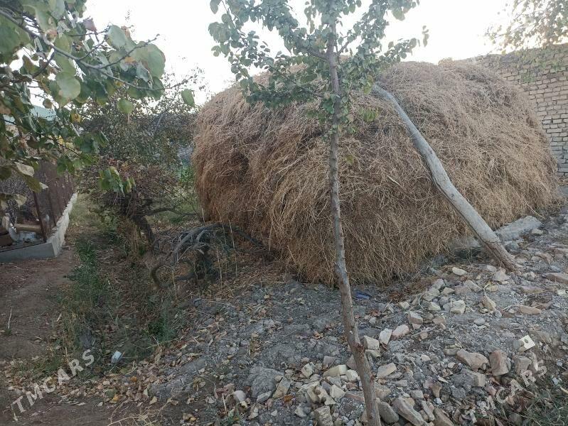 yorunja - Чарджоу - img 2