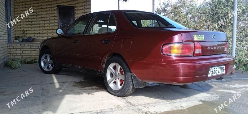 Toyota Camry 1995 - 80 000 TMT - Sakarçäge - img 7