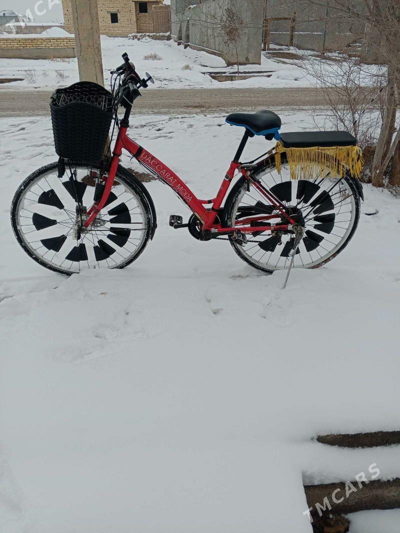 welosiped - Gurbansoltan Eje - img 4