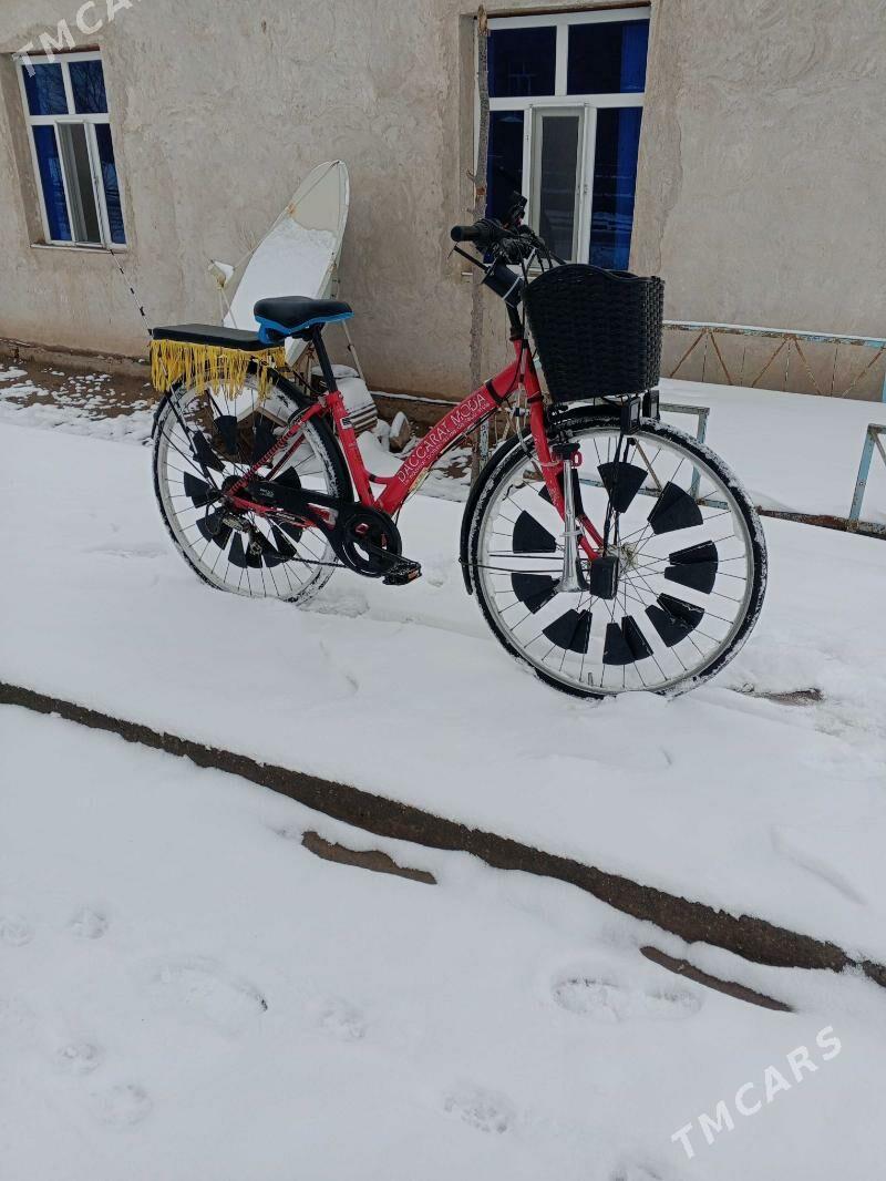 welosiped - Gurbansoltan Eje - img 3