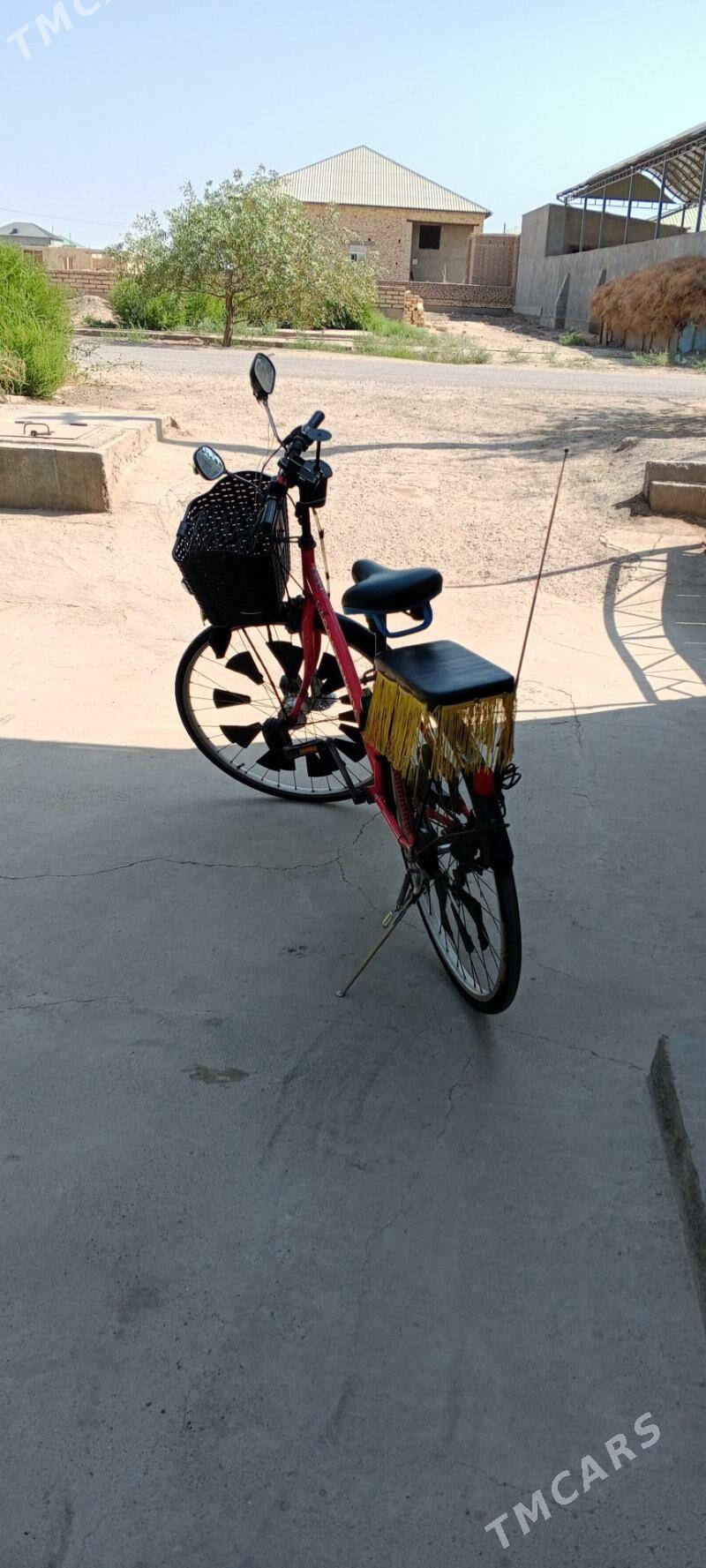 welosiped - Gurbansoltan Eje - img 8