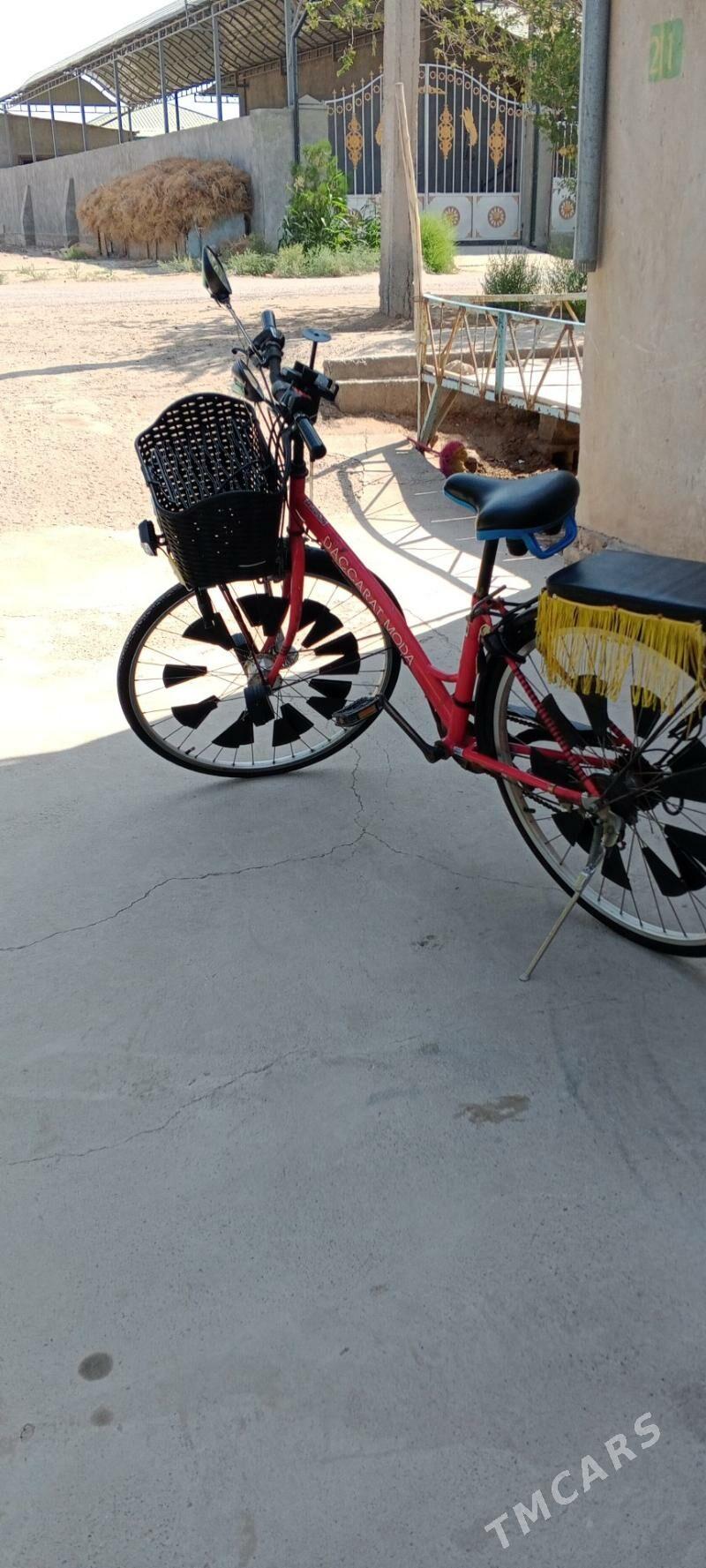 welosiped - Gurbansoltan Eje - img 10