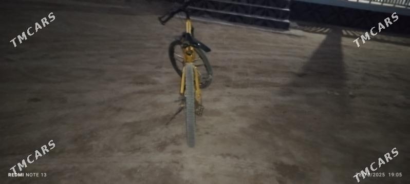 welik - Esenguly - img 3