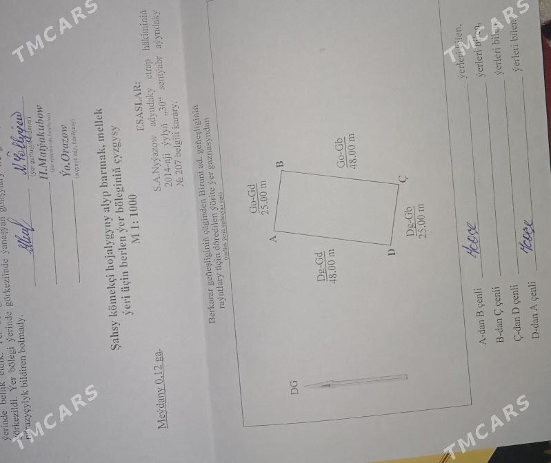 Mellek yer - Daşoguz - img 2