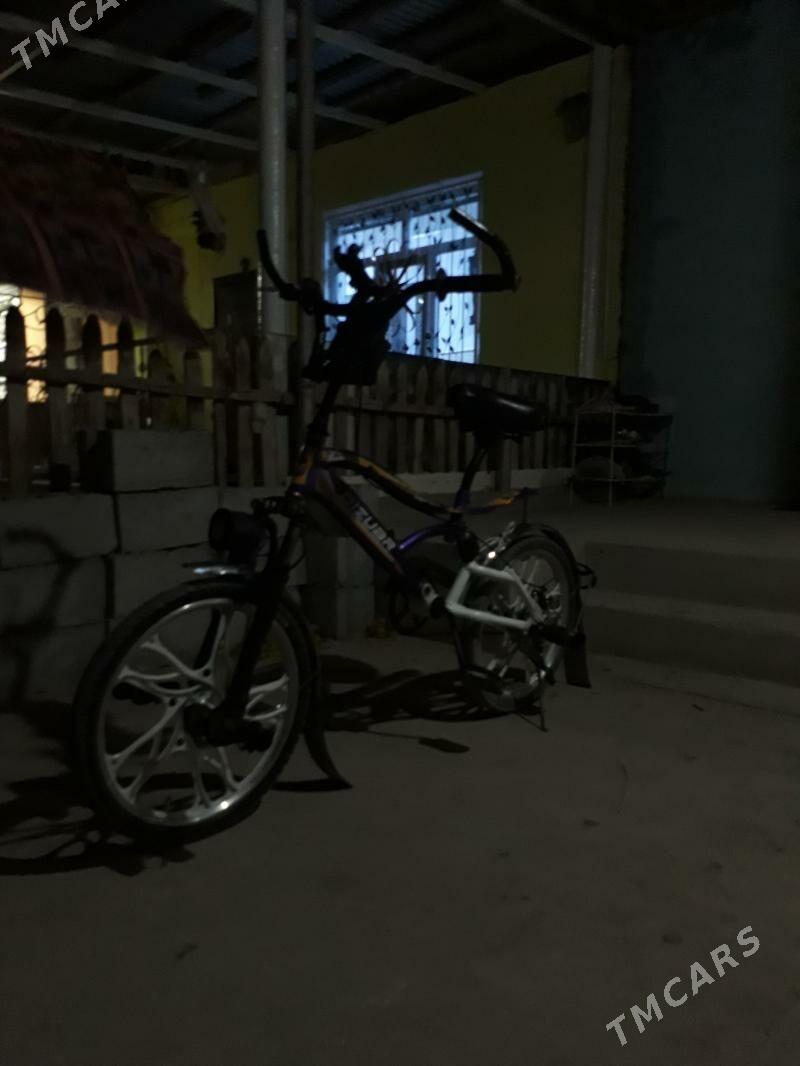 tigir - Balkanabat - img 6