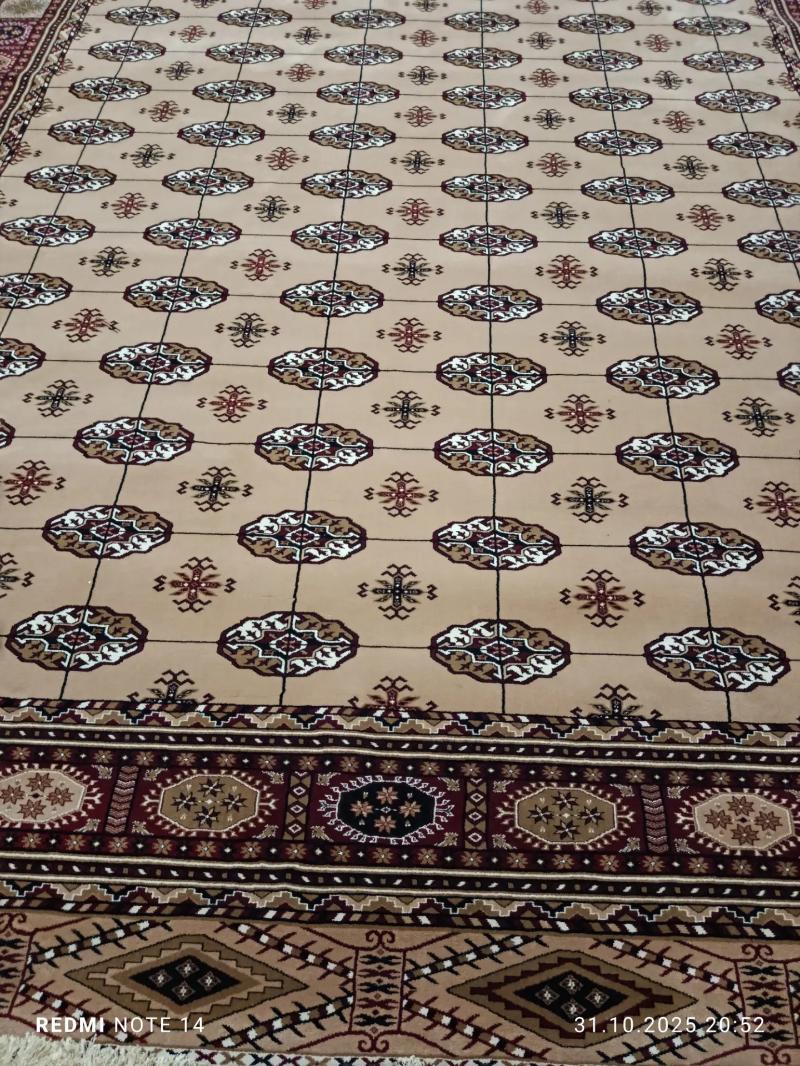 haly - Gyzylarbat - img 6