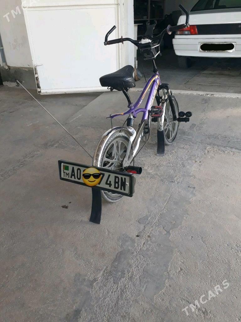 tigir - Balkanabat - img 7