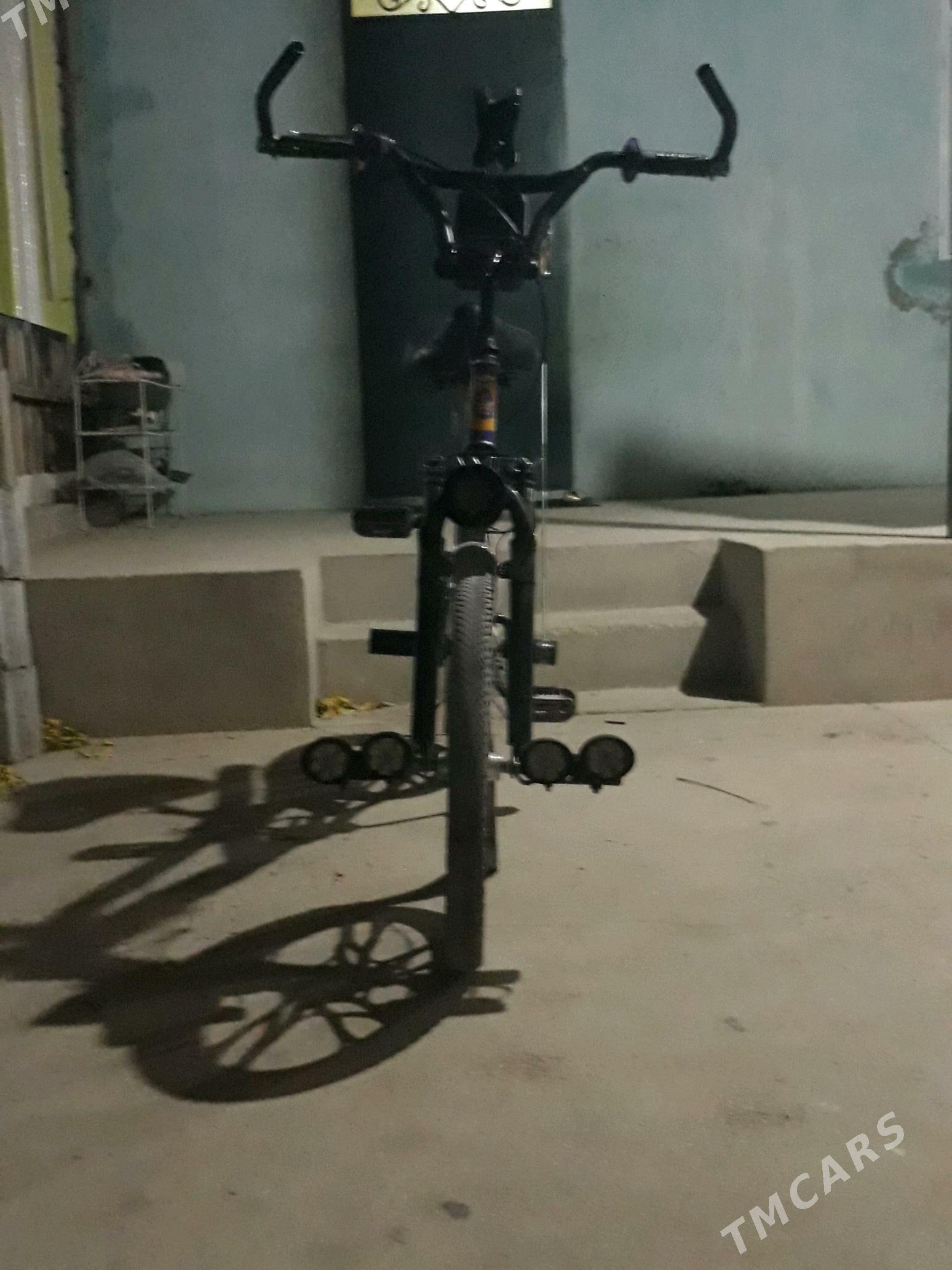 tigir - Balkanabat - img 2