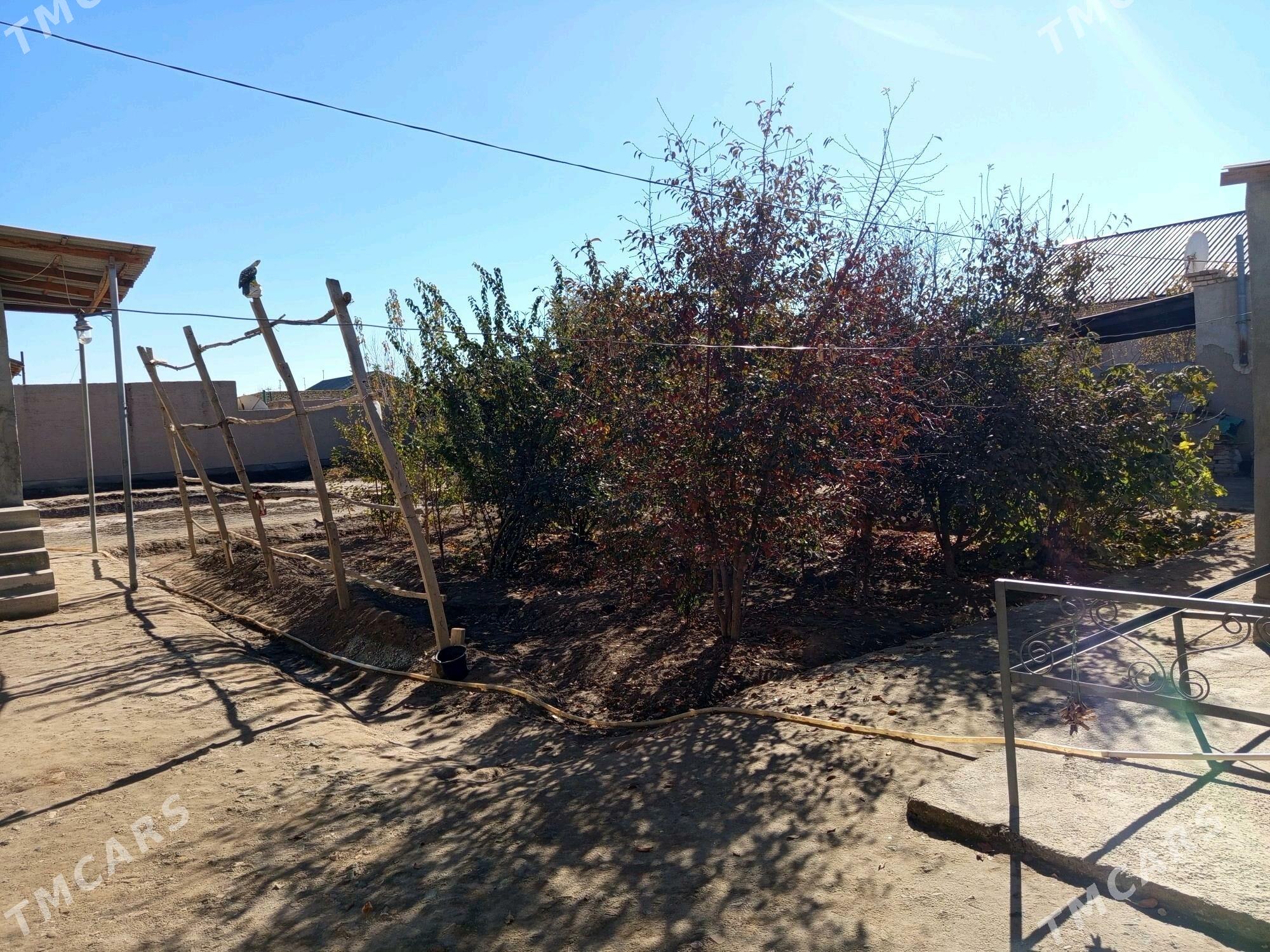 Hsusy satlyk jay - Köneürgenç - img 3