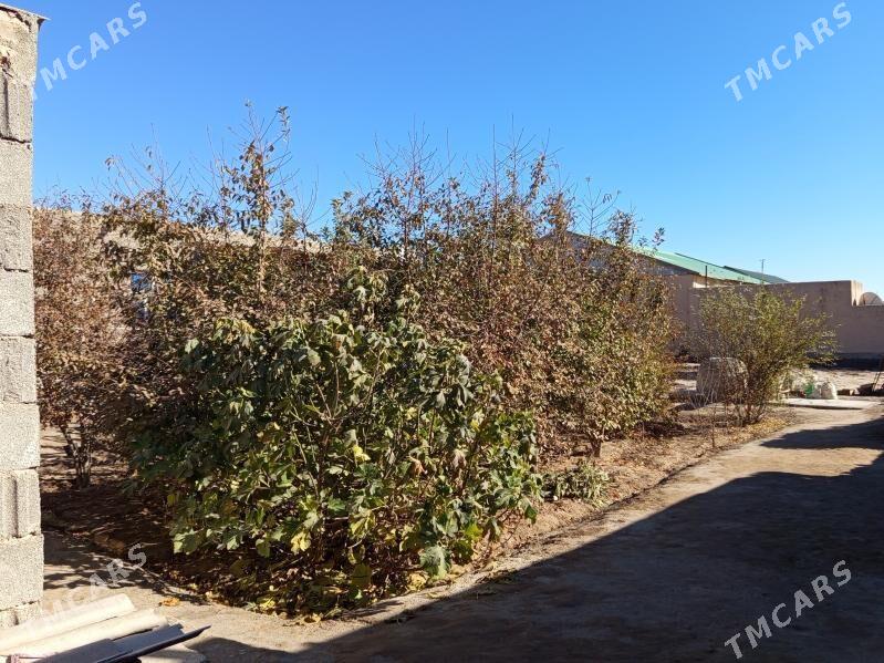 Hsusy satlyk jay - Köneürgenç - img 10