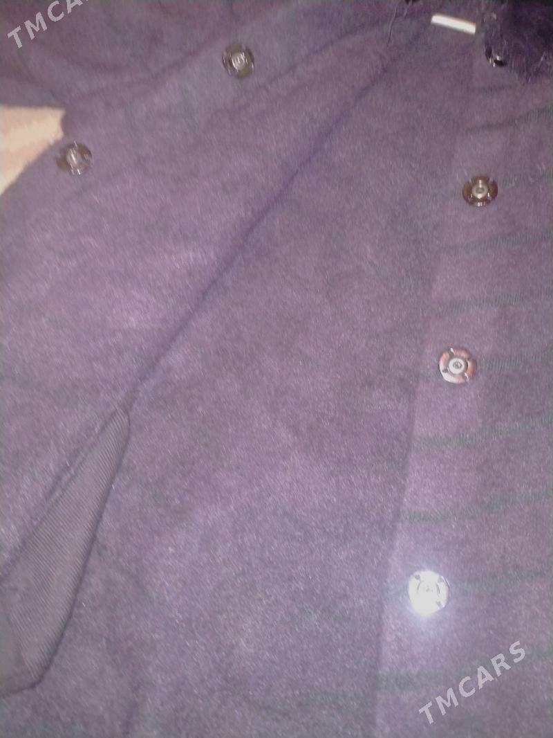 jempir - Daşoguz - img 5