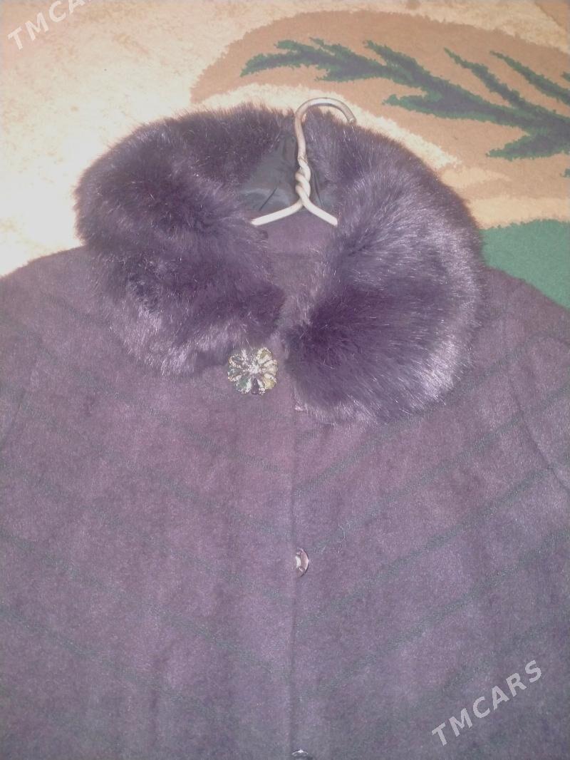 jempir - Daşoguz - img 1