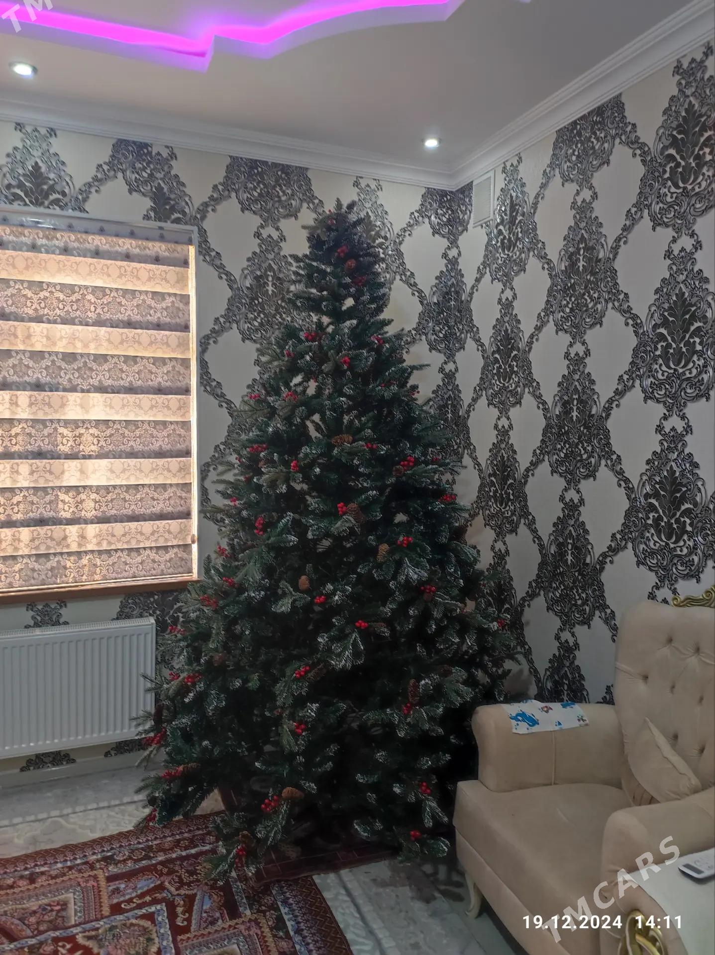 arça ýolka ёлка - Balkanabat - img 3