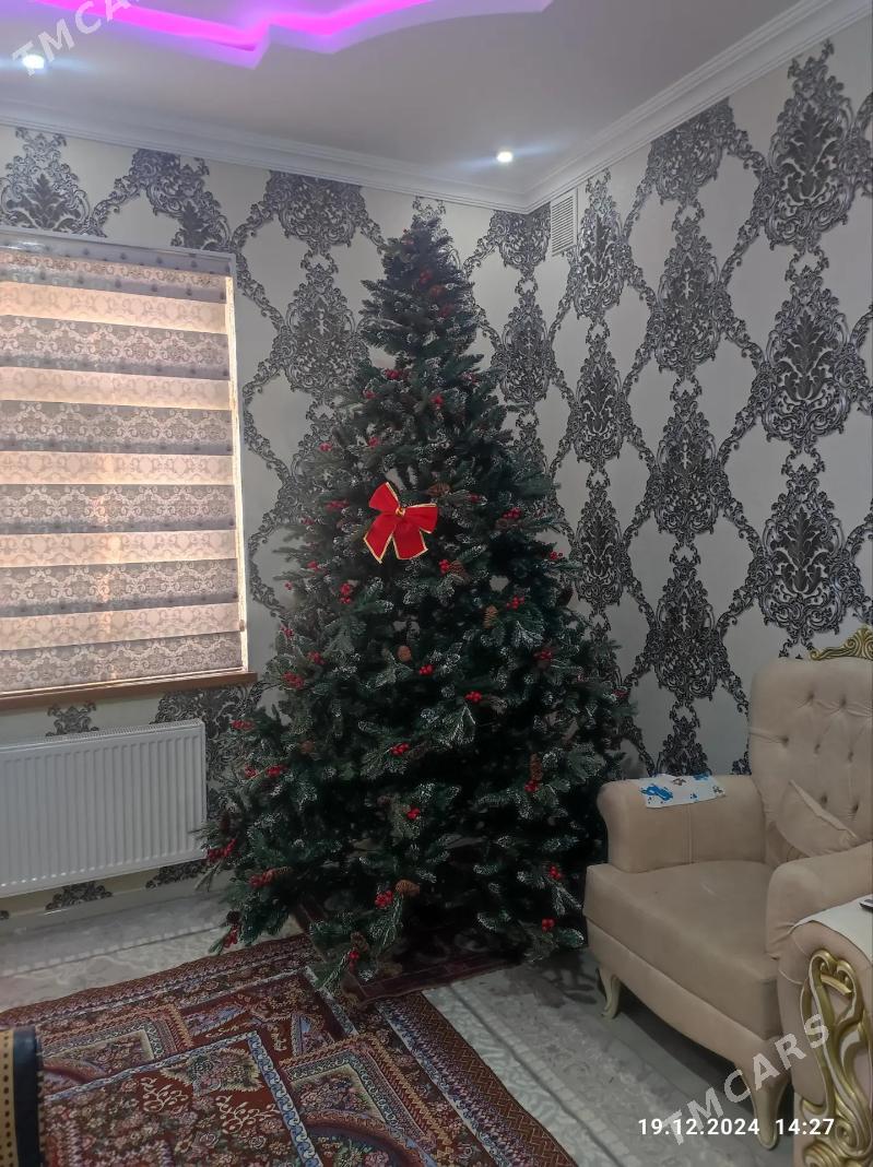 arça ýolka ёлка - Balkanabat - img 2
