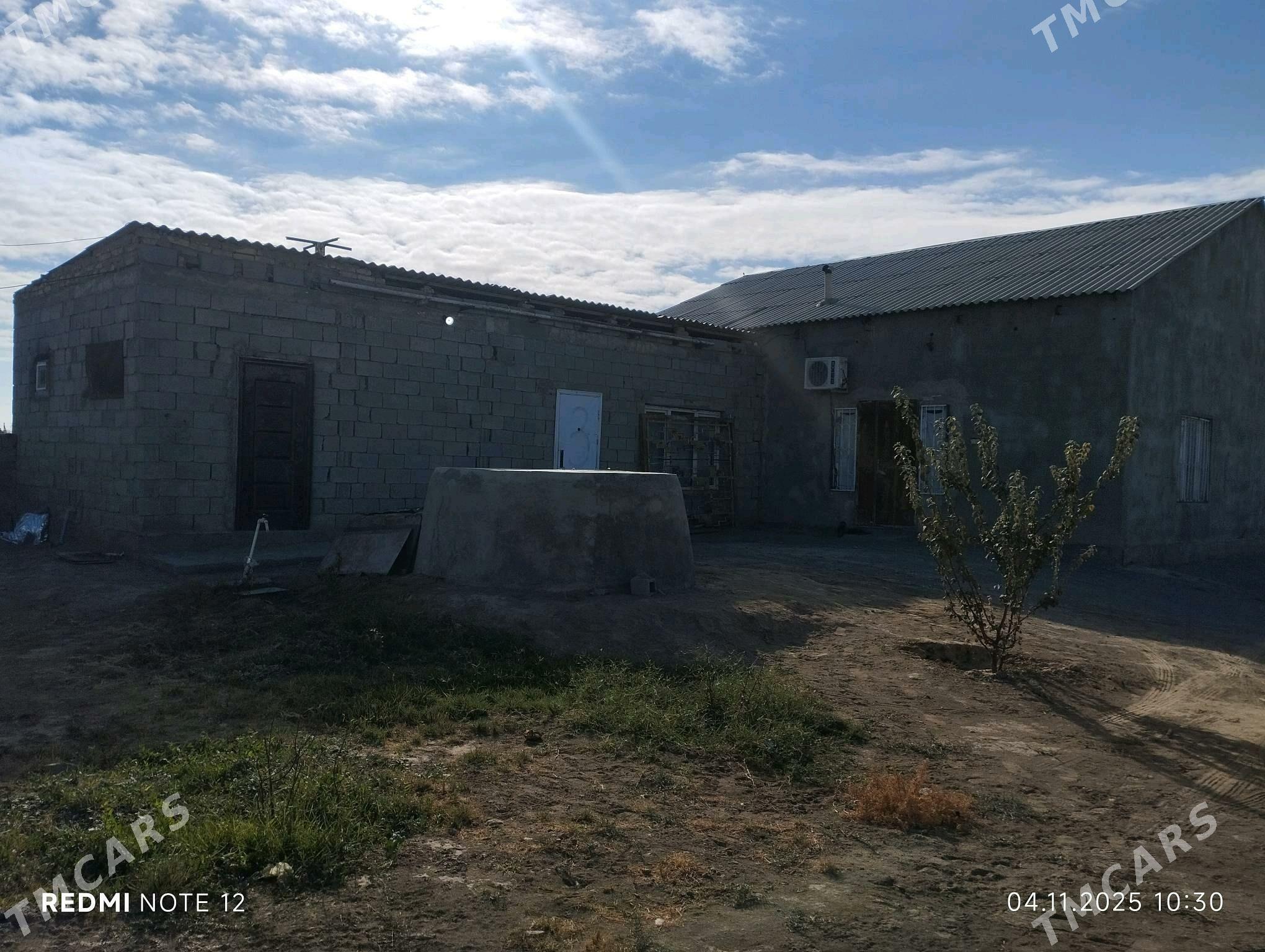 TALHANLY PYLAN JAŸ - Бузмеин - img 3