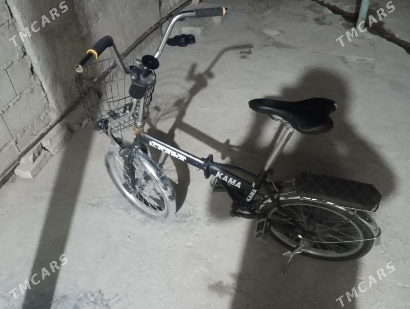 Kama tigir - Änew - img 2