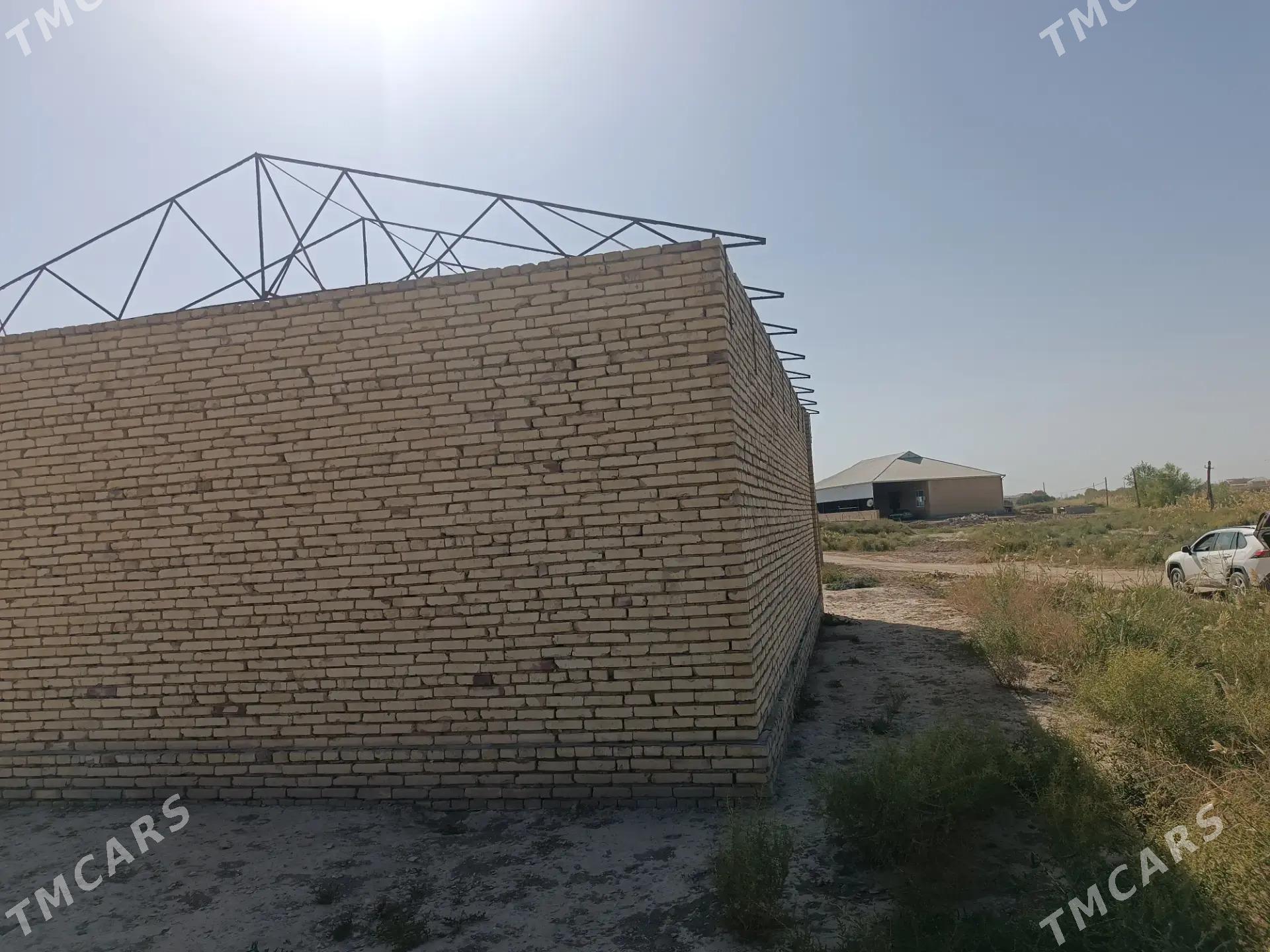 2 komnat - Murgap - img 2