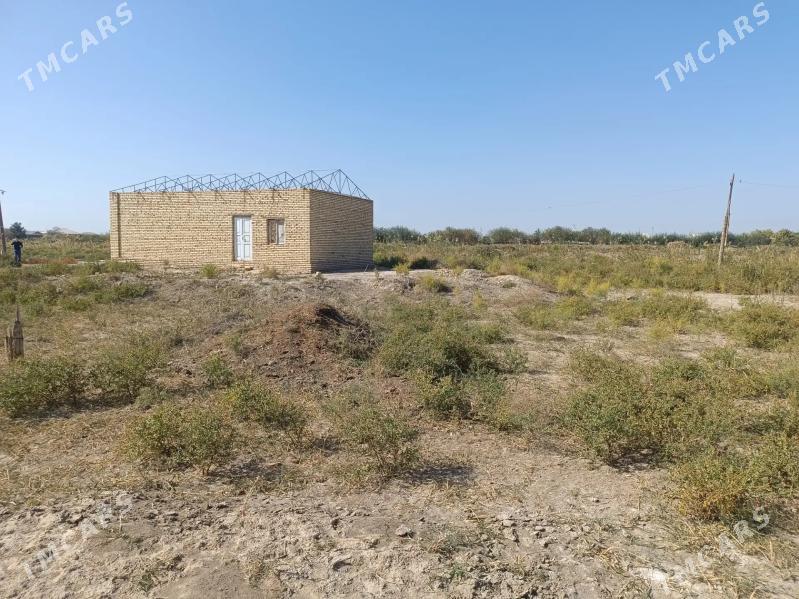 2 komnat - Murgap - img 3