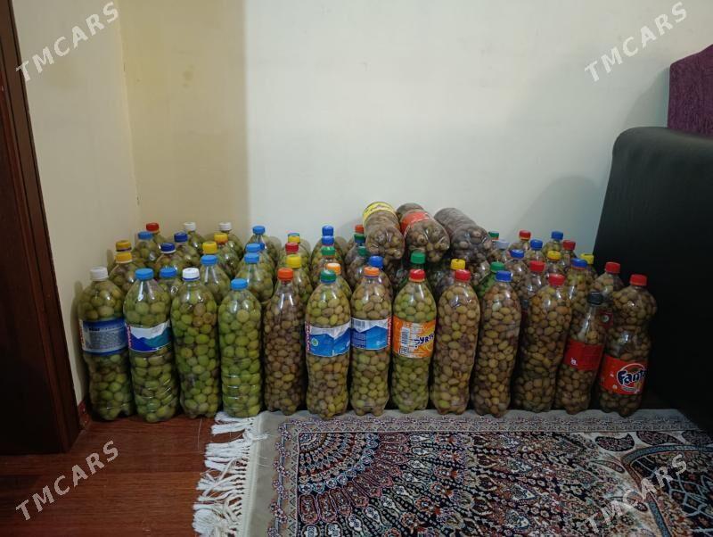 Zeytun yag we miwesi - Туркменбаши - img 4