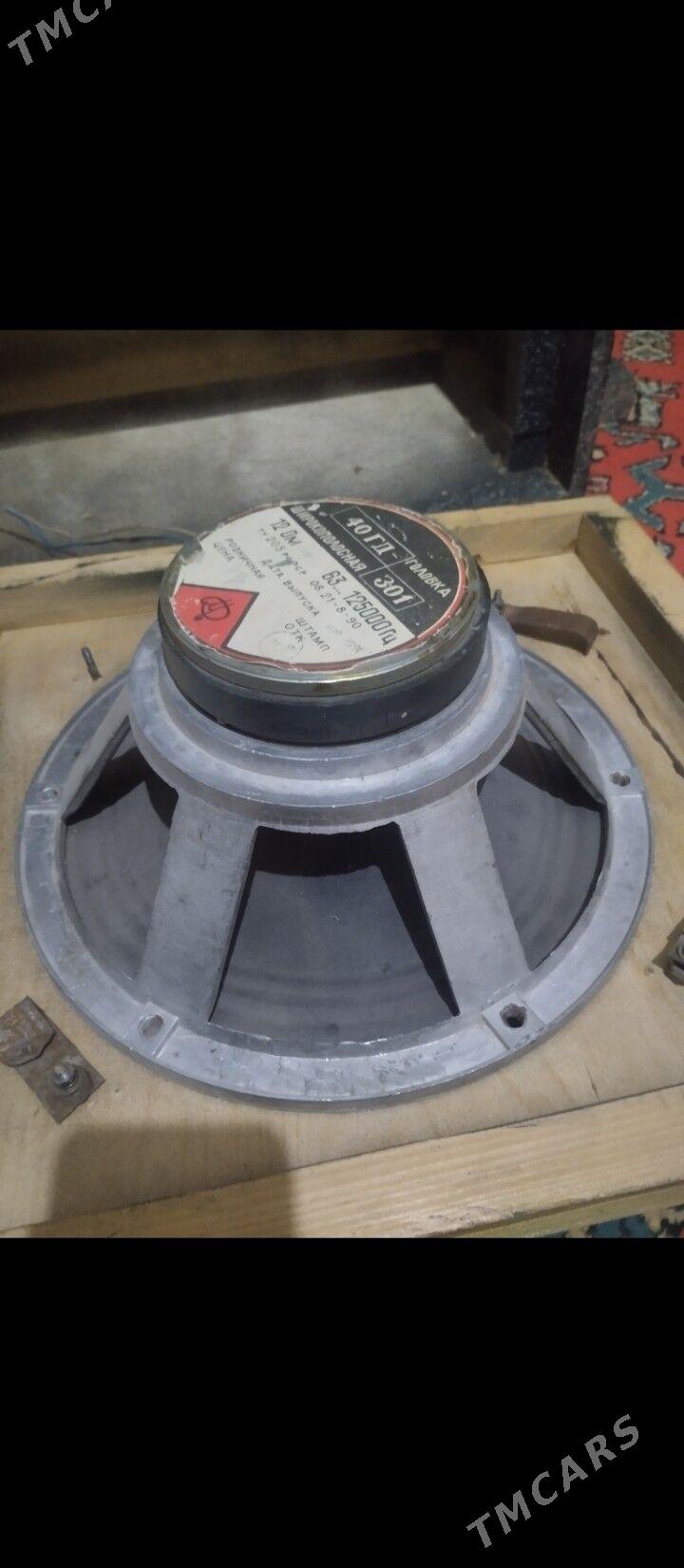 Калонка, Усилитель - Шабатский этрап - img 5