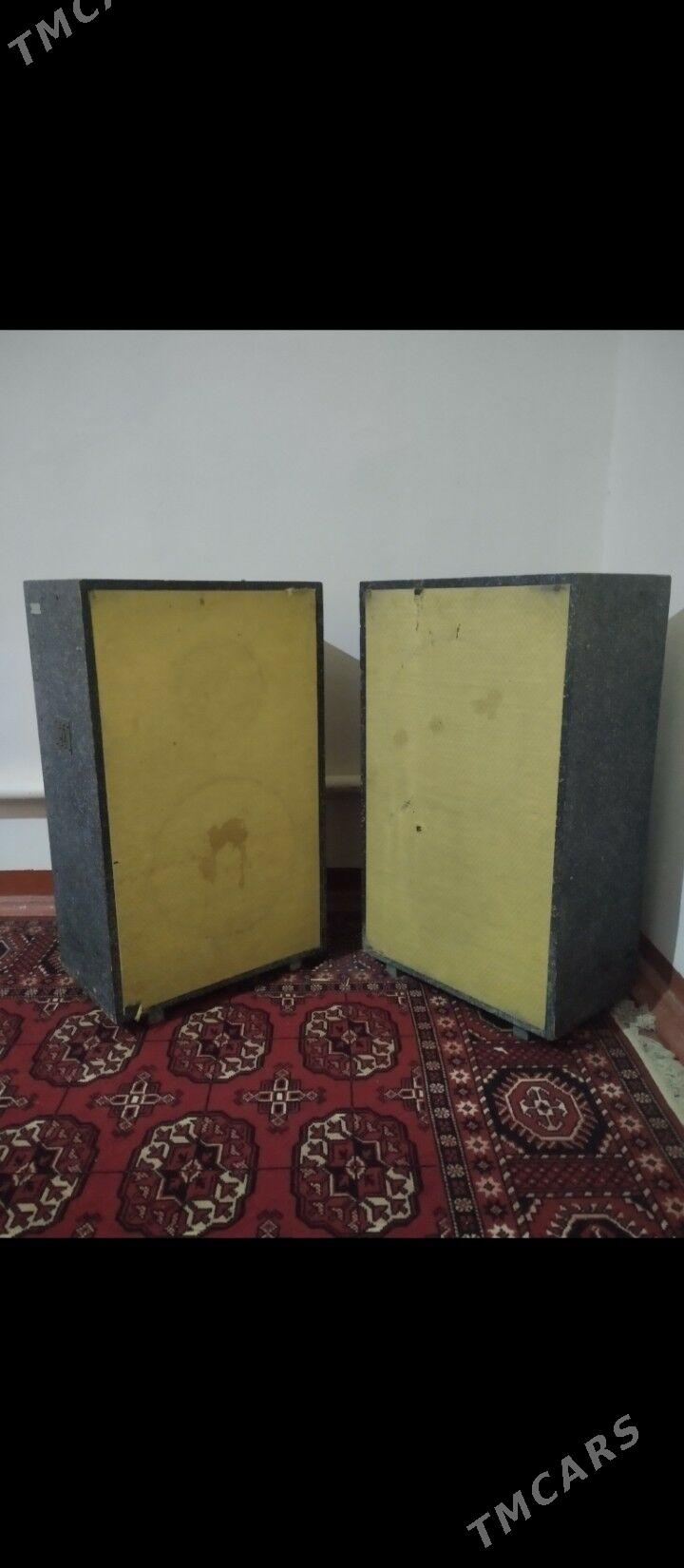 Калонка, Усилитель - Шабатский этрап - img 3