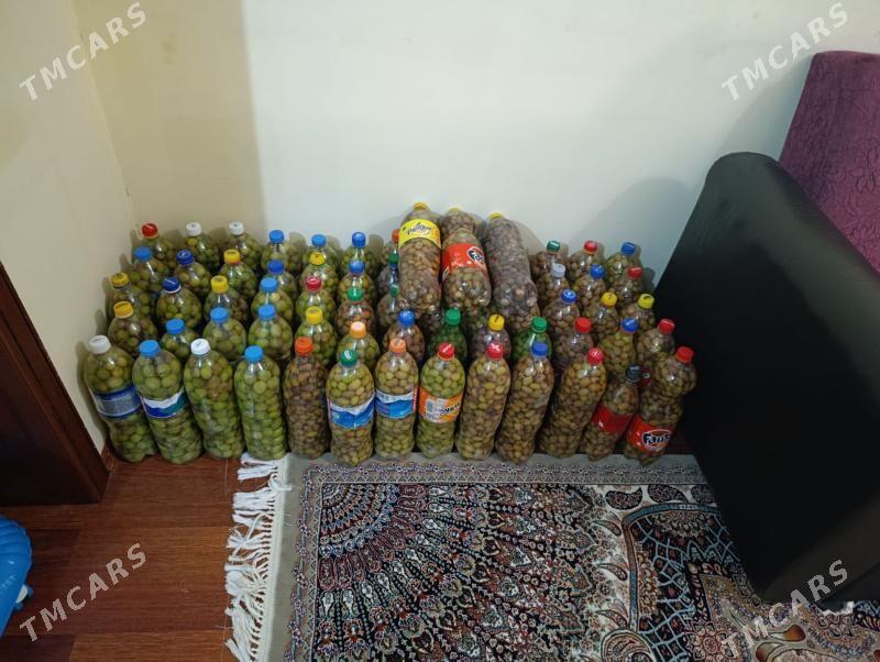 Zeytun yag we miwesi - Туркменбаши - img 3