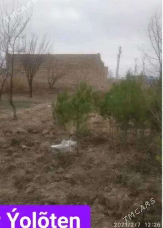 Satlyk daca jay 25 sotok yer - Ýolöten - img 2