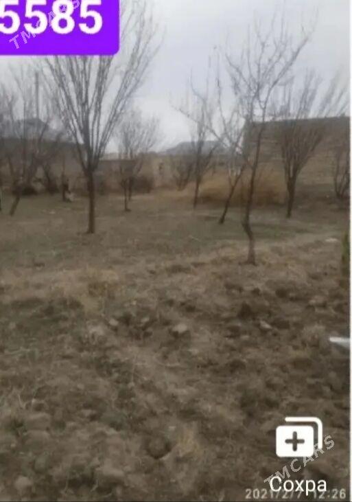 Satlyk daca jay 25 sotok yer - Ýolöten - img 3