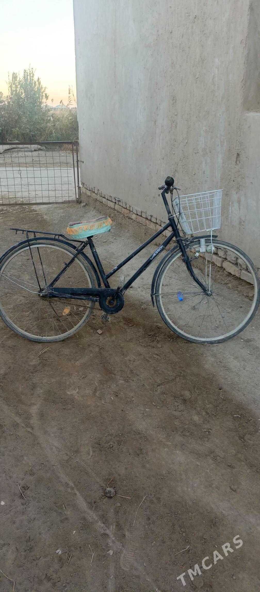 welosibet - Шабатский этрап - img 2