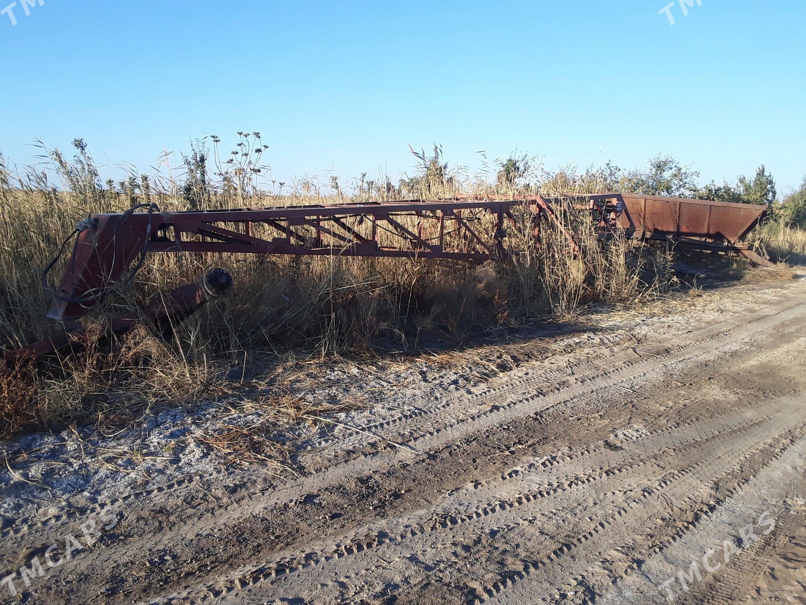 dilnewaz wisga - Мары - img 3