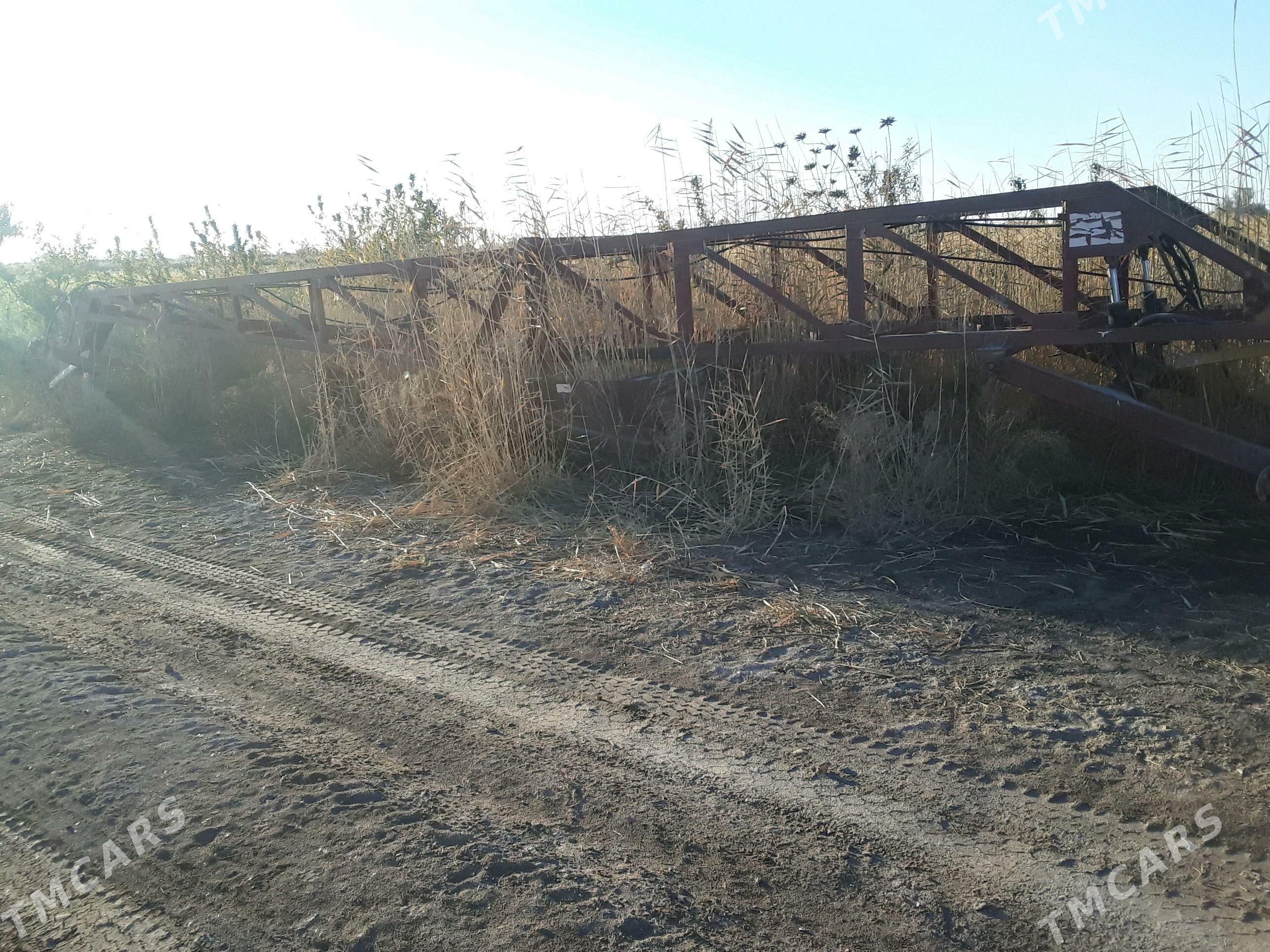 dilnewaz wisga - Мары - img 4