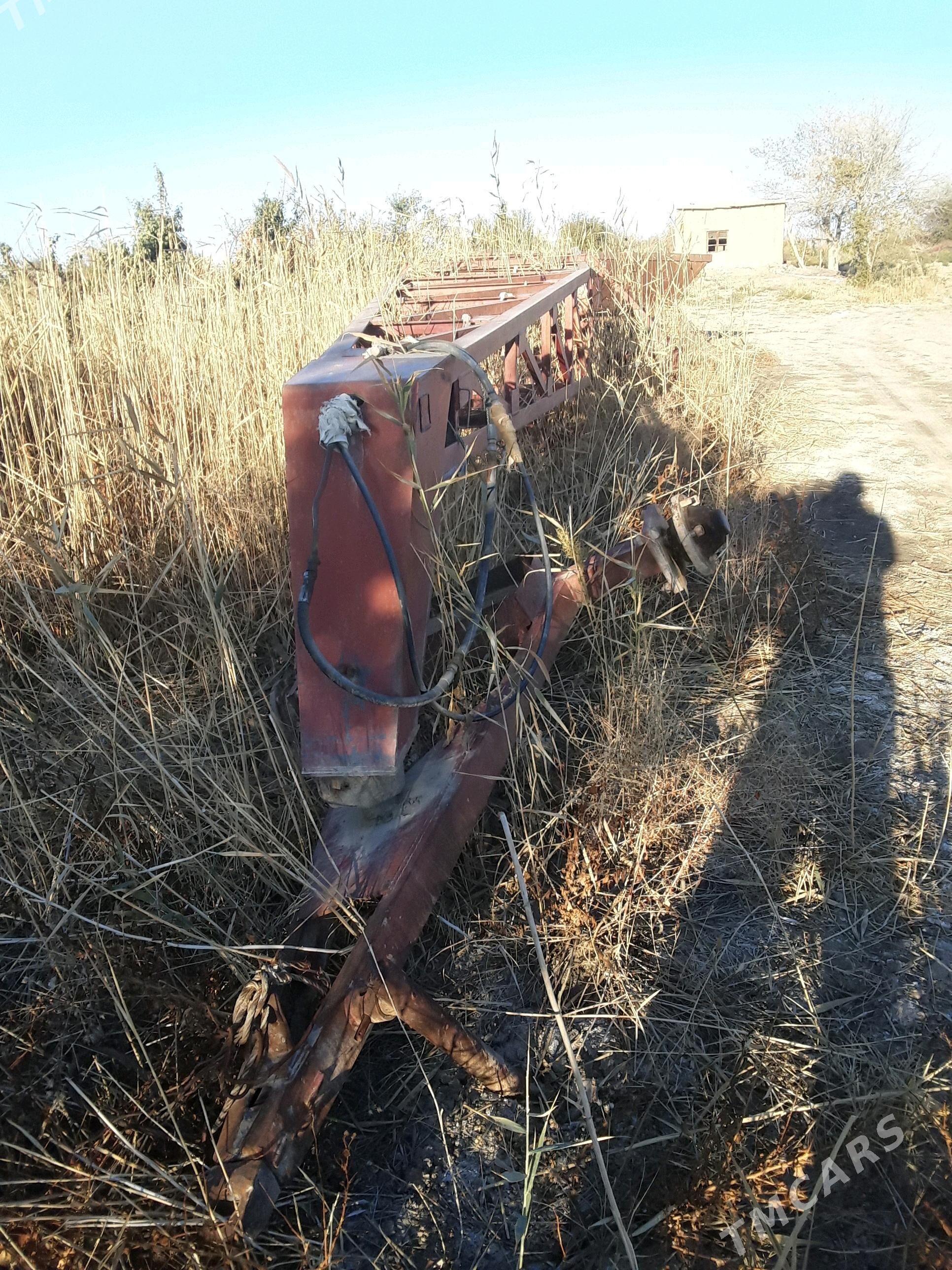 dilnewaz wisga - Мары - img 2