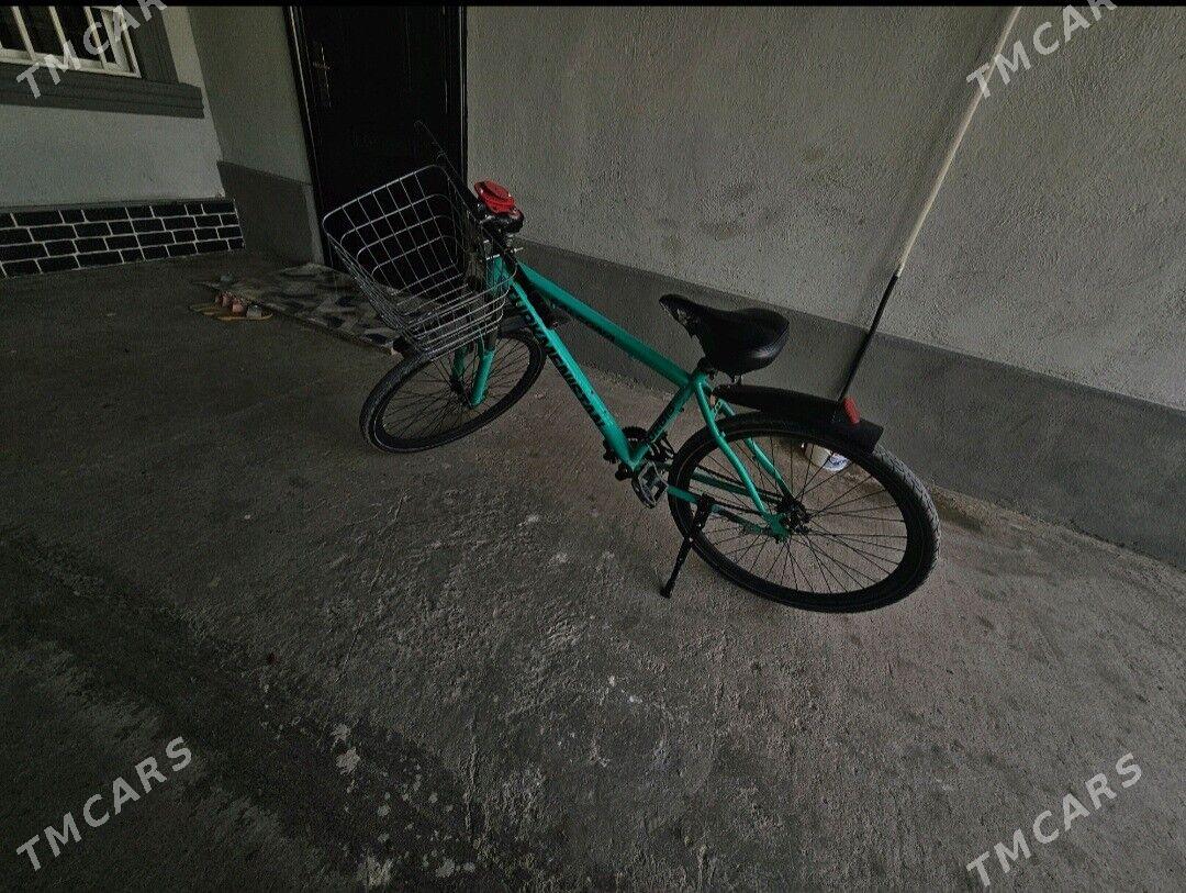 tigir - Чоганлы - img 2