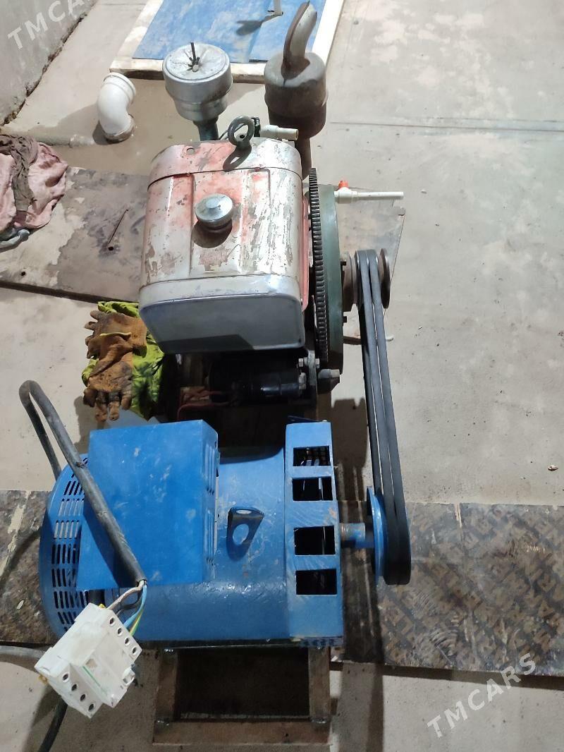 Generator - Sakarçäge - img 2