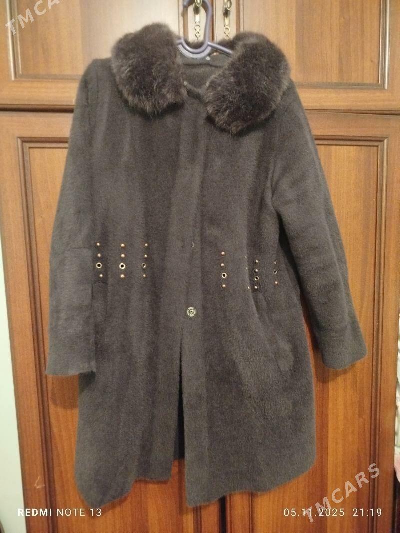 zempir - Änew - img 1