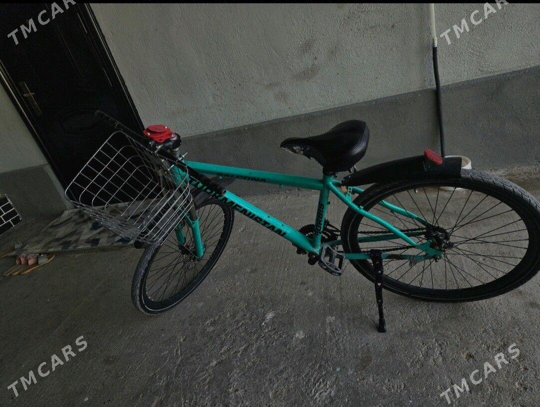 tigir - Чоганлы - img 3