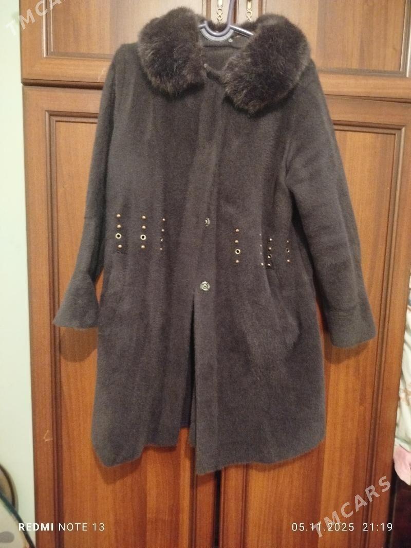 zempir - Änew - img 2