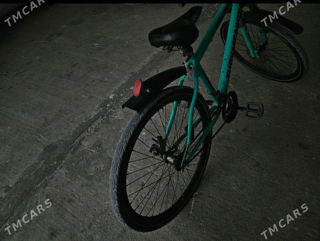 tigir - Чоганлы - img 6