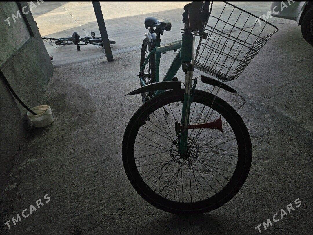 tigir - Чоганлы - img 5