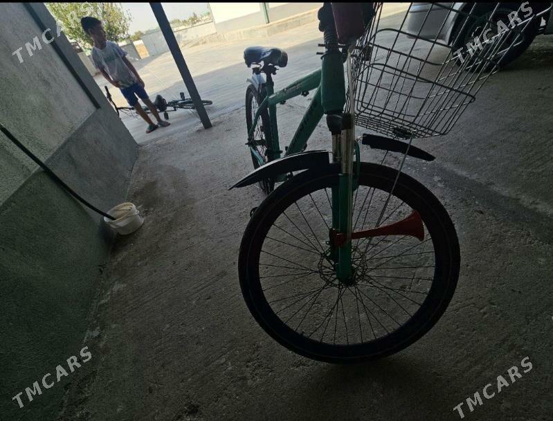 tigir - Чоганлы - img 4