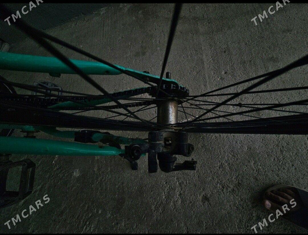 tigir - Чоганлы - img 8