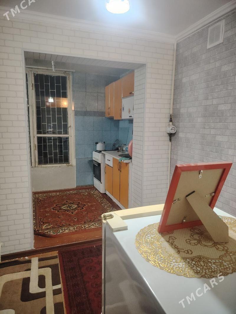 Gres jay - Mary - img 8