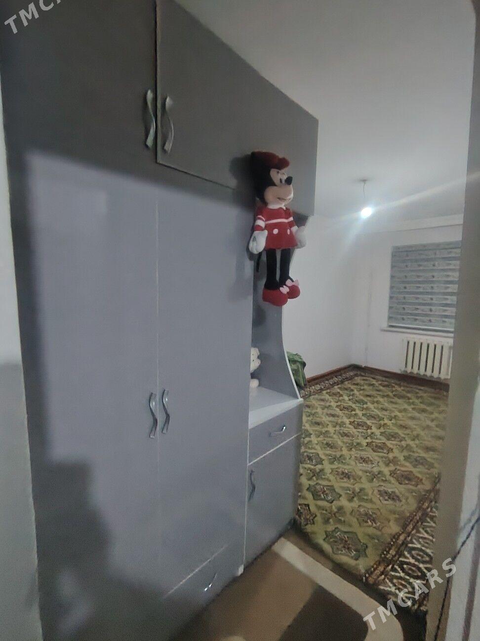 Gres jay - Mary - img 7