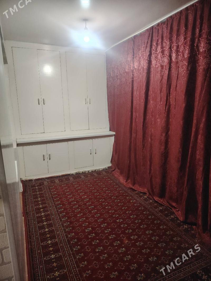 Gres jay - Mary - img 9