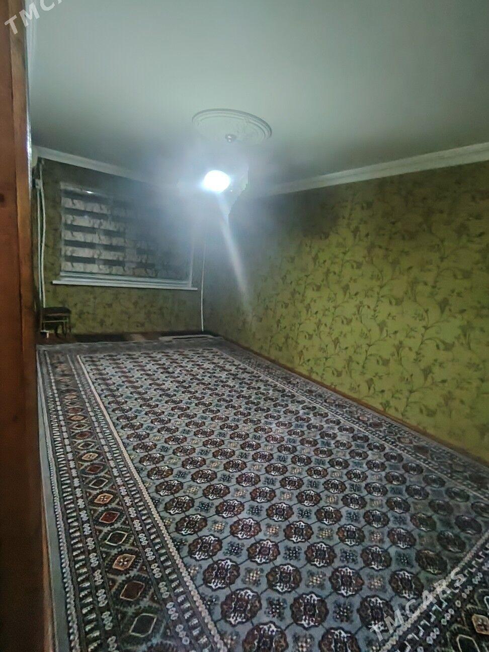 Gres jay - Mary - img 4