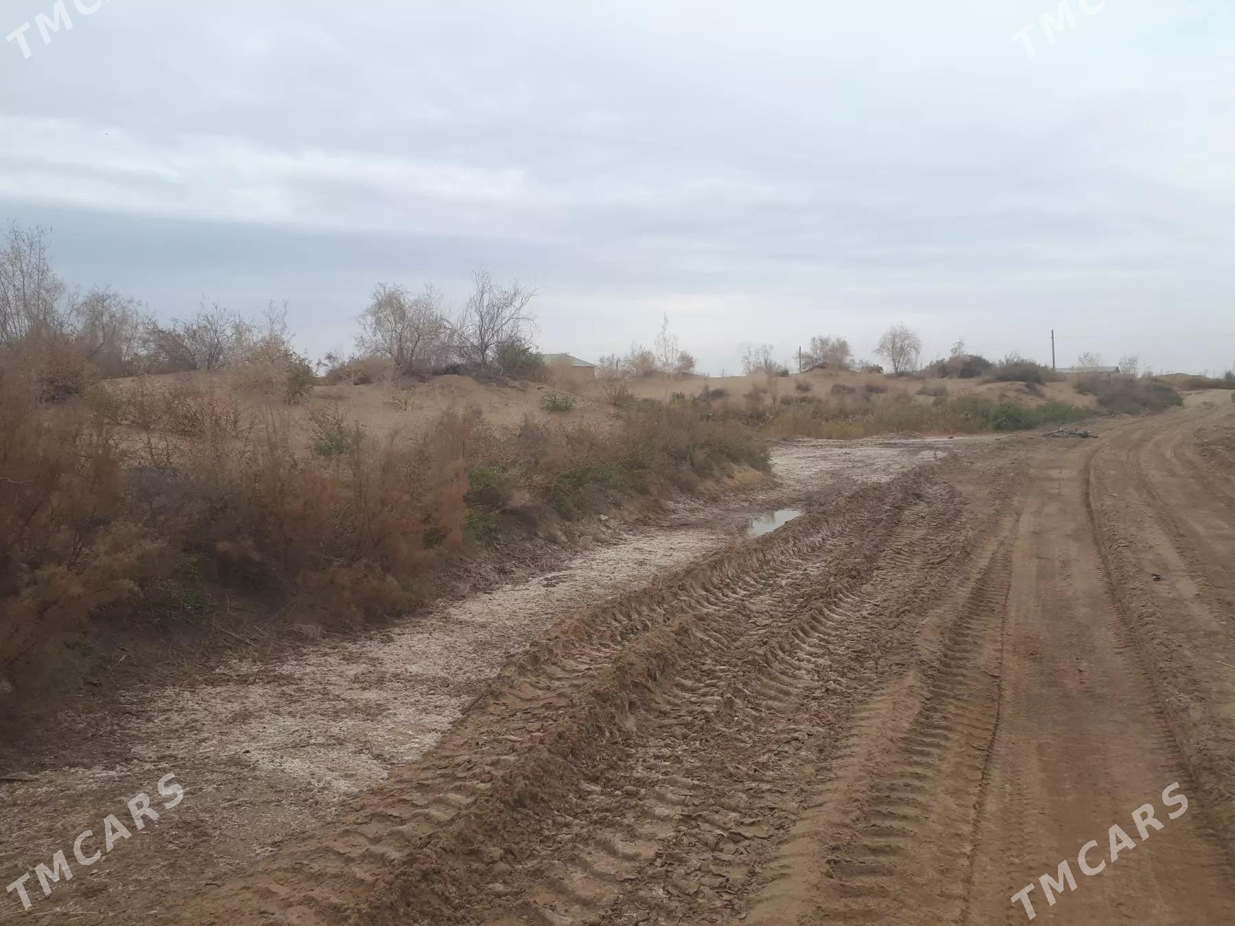 mellek - Чарджоу - img 3