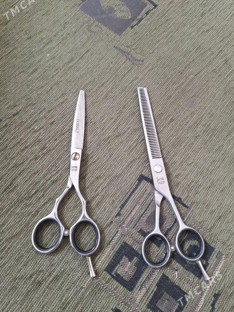 gayçy gaycy - Бедев - img 1