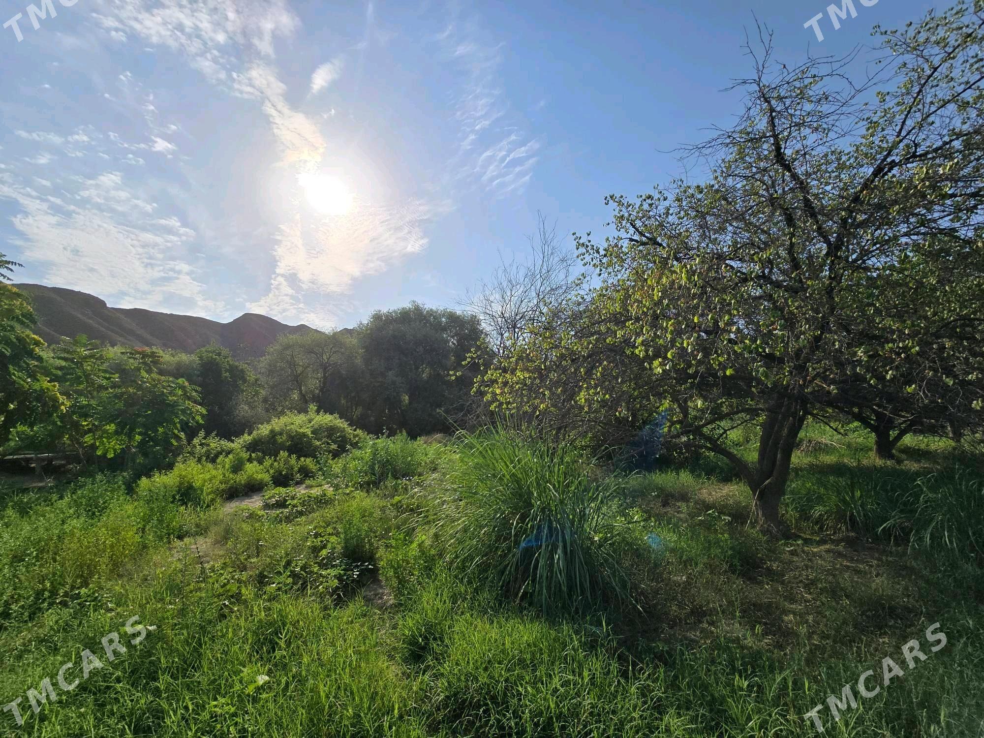 satlyk daca - Gökdepe - img 5