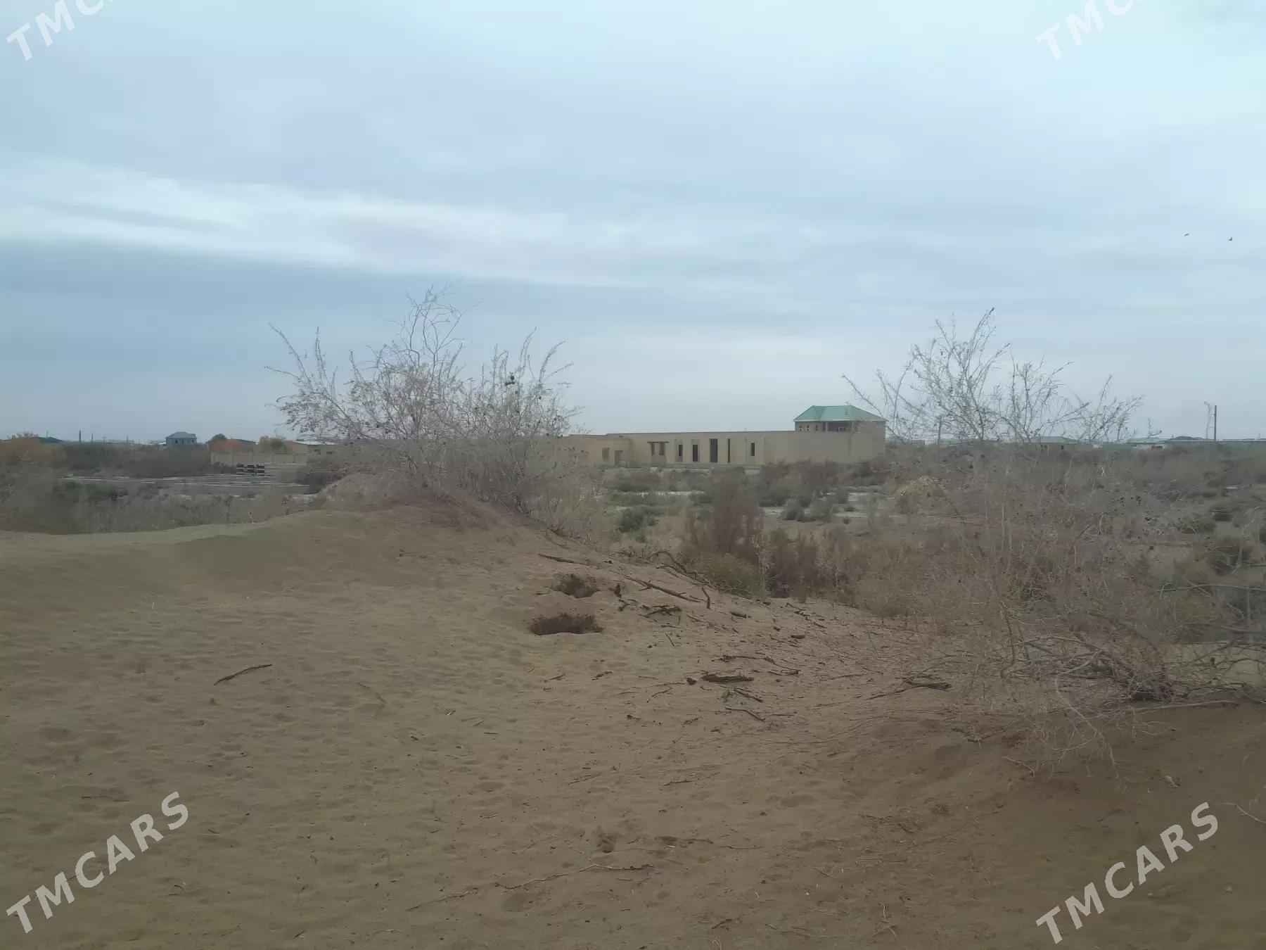 mellek - Çärjew - img 1