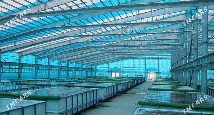 polikarbonat karboluks - Aşgabat - img 3